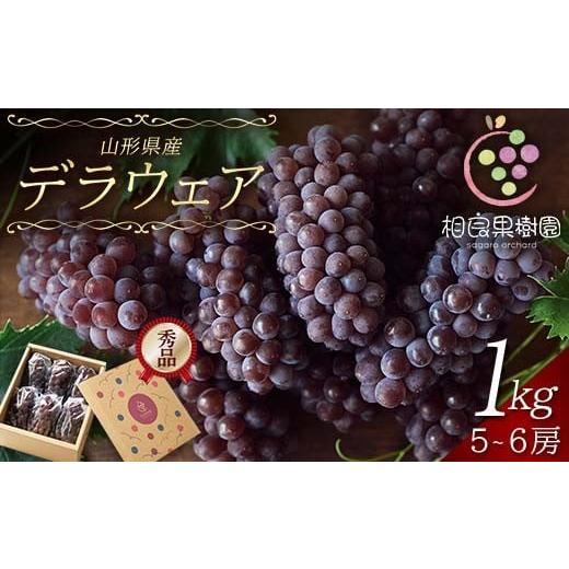 ふるさと納税 果物類 ぶどう 山形県 - 2026年先行予約 相良果樹園 贈答用 山形県産 種無しぶどう デラウェア 1kg(5〜6房) 秀品 個包装 2026年7月上旬から順次…