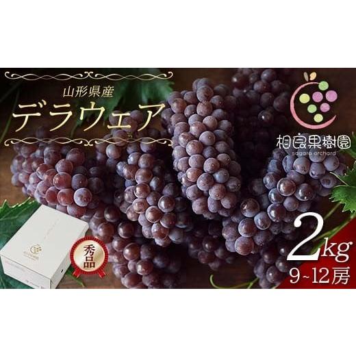 ふるさと納税 果物類 ぶどう 山形県 - 2026年先行予約 相良果樹園 贈答用 山形県産 種無しぶどう デラウェア 2kg(9〜12房) 秀品 個包装 2026年7月上旬から順…