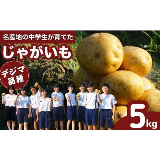 ふるさと納税 野菜類 じゃがいも 広島県 竹原市 地元中学生の育てた じゃがいも デジマ 5kg 12月発送 野菜 ジャガイモ ポテト いも 芋 産地直送 でじま 出島 …