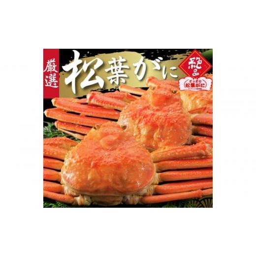ふるさと納税 カニ 松葉ガニ 鳥取県 鳥取市 松葉がに タグ付き(茹で)中サイズ 1枚