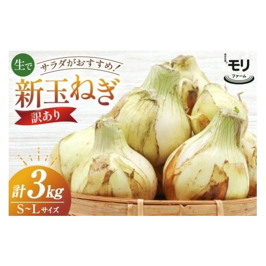 ふるさと納税 野菜類 玉ねぎ 長崎県 島原市 AJ113 訳あり 湧水の里 モリファーム 新玉ねぎ 3kg 不揃い (S〜Lサイズ混合) 新たまねぎ 新たま 玉ねぎ たまねぎ …