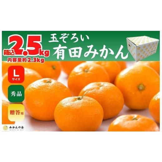 ふるさと納税 果物類 みかん 和歌山県 有田川町 年末発送指定 12月25日〜12月29日配送 みかん Lサイズ 秀品 箱込 2.5kg (内容量約 2.3kg) 有田みかん 和歌山…