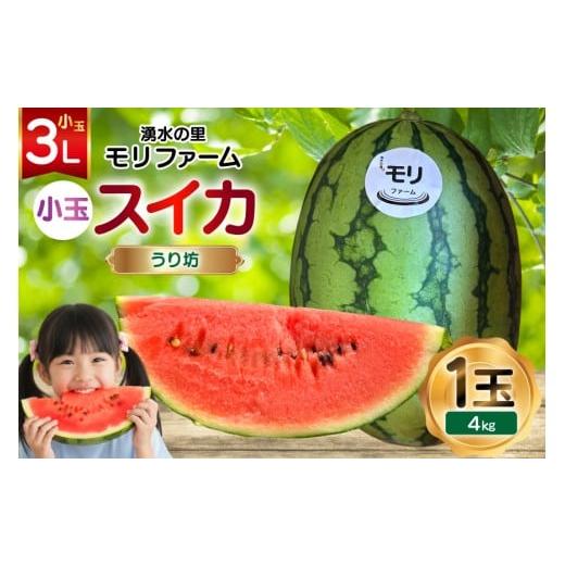 ふるさと納税 スイカ 長崎県 島原市 AJ460 令和8年度出荷分 湧水の里 モリファーム 小玉スイカ うり坊 3L 4kg 1玉 先行予約 数量限定 小玉 うり坊 スイカ 西瓜…