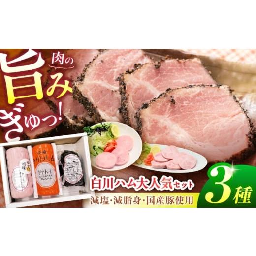 ふるさと納税 肉 ハム 岐阜県 白川町 通常発送 白川ハム 人気 3種セット( プレスハム ・ ゆず味プレスハム ・ パストラミハム ) ハム ボンレスハム プレス…