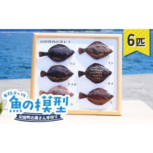 ふるさと納税 雑貨・日用品 岩手県 山田町 萬さん手作り、本物そっくり魚の模型 6点 三陸山田産 山田町 山田湾 工芸品 職人 匠 YD-937 6点(6匹)