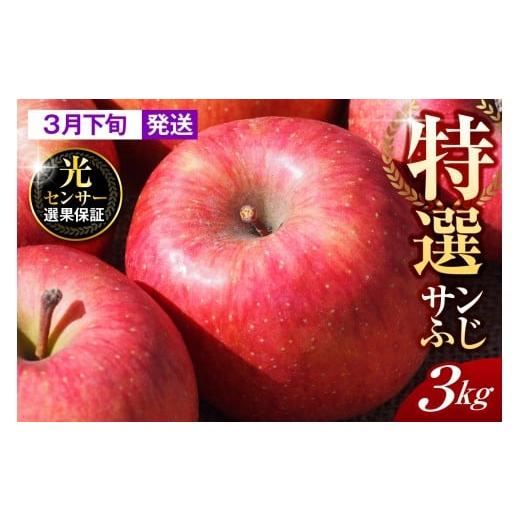 ふるさと納税 りんご 青森県 五所川原市 2026年3月下旬発送 特選 りんご 約3kg サンふじ 青森 五所川原 3月下旬発送(21日〜末日)
