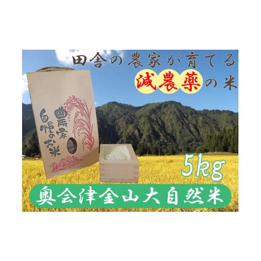ふるさと納税 米 ひとめぼれ 福島県 金山町 令和7年産 奥会津金山大自然米5kg