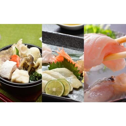 ふるさと納税 旬の鮮魚等 長崎県 佐世保市 A521[定期便]よかクエ食べ尽くしコース 3回お届け