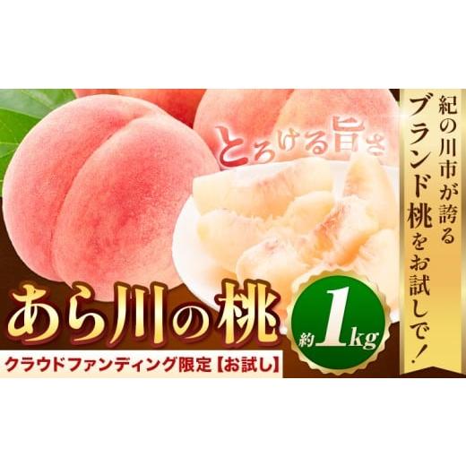ふるさと納税 もも 和歌山県 紀の川市 桃 アフター保証付 トロっと とろける旨さ ブランド桃 あら川の桃 約1kg[2026年6月中旬-8月中旬頃出荷] 一部配送不可…