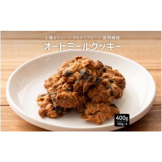 ふるさと納税 焼菓子・チョコレート クッキー 静岡県 静岡市 オートミールクッキー 3種のベリー 400g(100g×4袋)