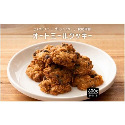ふるさと納税 焼菓子・チョコレート クッキー 静岡県 静岡市 オートミールクッキー チョコバナナ 600g(100g×6袋)