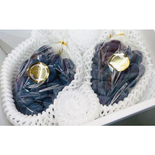 ふるさと納税 果物類 ぶどう 岡山県 美咲町 先行予約 岡山県産 ニューピオーネ 2kg 1箱 / ぶどう ブドウ フルーツ 2026年8月下旬-9月下旬発送予定