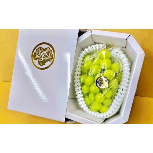 ふるさと納税 ぶどう マスカット 岡山県 美咲町 先行予約 厳選 シャインマスカット 約800g 1房入り / マスカット ぶどう ブドウ フルーツ 2026年9月下旬-10…