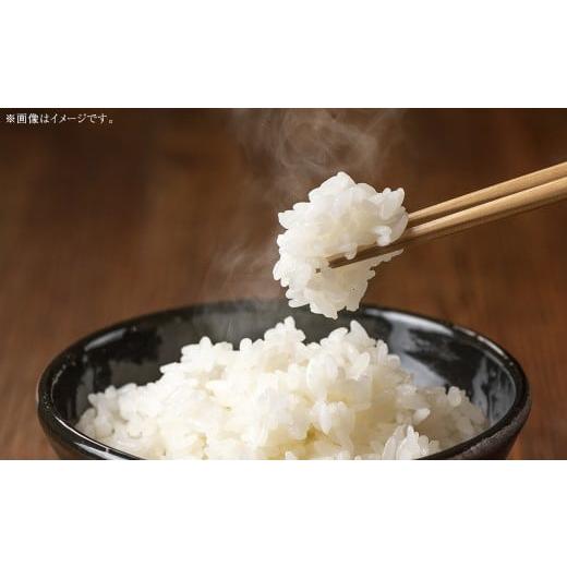 ふるさと納税 米 きぬむすめ 岡山県 美咲町 岡山県 美咲町産 きぬむすめ 5kg 令和7年産米先行予約 / 白米 お米 米 2025年11月上旬-2026年10月下旬発送予定