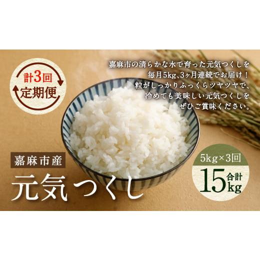 ふるさと納税 米 福岡県 嘉麻市 令和7年産 3ヶ月定期便 元気つくし お米 合計15kg (5kg×3回) 2025年11月上旬から順次発送予定