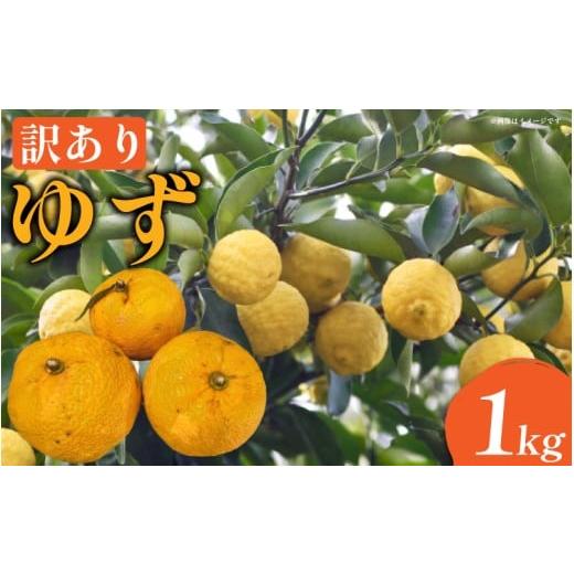 ふるさと納税 みかん・柑橘類 徳島県 吉野川市 訳あり ゆず 1kg 家庭用 11月発送 栽培期間中 農薬不使用 柚子 旬 果実 果汁 みかん 柑橘 フルーツ 酸味 すっぱ…