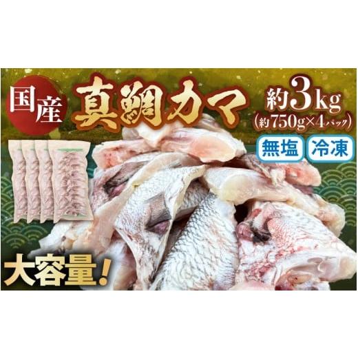 ふるさと納税 魚貝類 鯛 福井県 美浜町 先行予約 国産 真鯛カマ 約3kg (約750g×4パック) 大容量 無塩 冷凍 2026年3月中旬以降順次発送予定 鯛カマ 鯛 タイ …