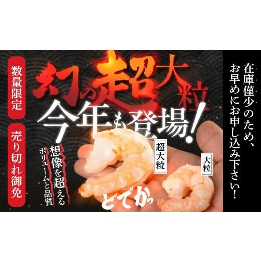 ふるさと納税 エビ 愛知県 豊橋市 超大粒 極 むき海老 超大粒 1.5kg むきえび 加熱用 冷凍 バラ凍結 小分け 特大 バナメイエビ えび 海老 ebi 海鮮 甲殻類 魚…