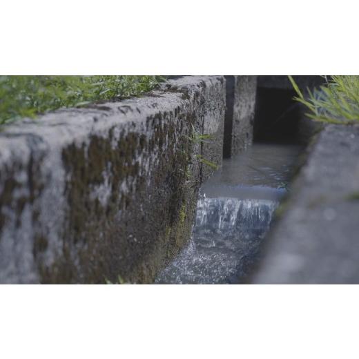 ふるさと納税 米 コシヒカリ 富山県 上市町  毎月1回お届け 定期便 令和7年産 上市町産コシヒカリ「剱米」（白米）2kg x 6回 計12kg  ソムリエH 富山県 上市…の画像