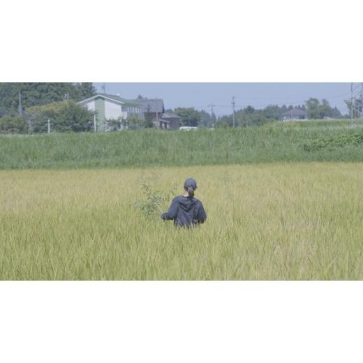 ふるさと納税 米 コシヒカリ 富山県 上市町  毎月1回お届け 定期便 令和7年産 上市町産コシヒカリ「剱米」（白米）2kg x 6回 計12kg  ソムリエH 富山県 上市…の画像