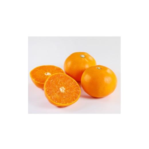 ふるさと納税 みかん・柑橘類 愛媛県 八幡浜市 家庭用 せとか1.5kg A21-54 1682655