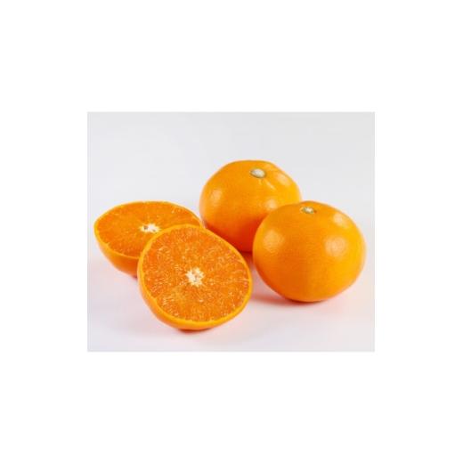 ふるさと納税 みかん・柑橘類 愛媛県 八幡浜市 家庭用 せとか3kg C21-55 1682659