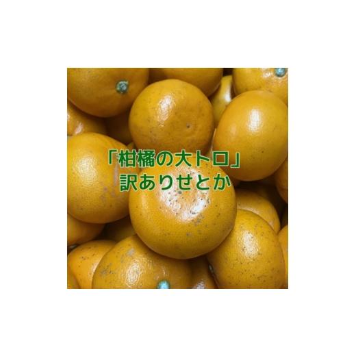 ふるさと納税 みかん・柑橘類 愛媛県 八幡浜市 訳あり せとか3kg C21-56 1682791