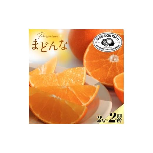 ふるさと納税 みかん・柑橘類 愛媛県 八幡浜市 紅まどんなと同品種 老舗農家が見極めたプレミアム まどんな 2kg×2箱 F70-107 1683855