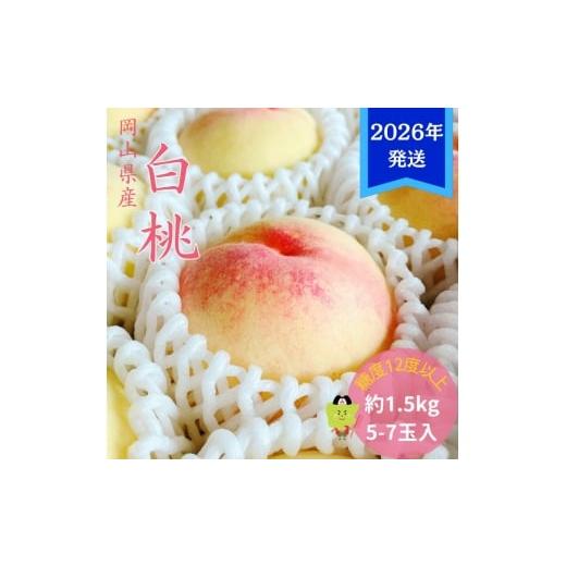 ふるさと納税 もも 岡山県 玉野市 2026年先行受付 白桃 特秀 ロイヤル 中玉 約1.5kg(5〜7玉)岡山県産 桃 もも モモ 御中元 ギフト 御礼 プレゼント 御礼 御祝…