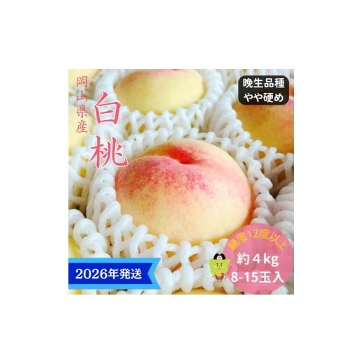 ふるさと納税 もも 岡山県 玉野市 2026年先行受付 白桃 特秀 ロイヤル 大玉 晩生品種 約4kg(8〜15玉) 岡山県産 桃 もも モモ 御中元 ギフト 御礼 プレゼント …