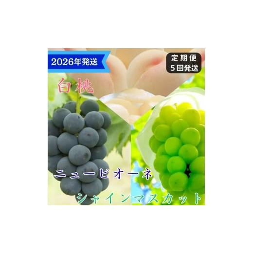ふるさと納税 もも 岡山県 玉野市 2026年先行受付 白桃 ニューピオーネ シャインマスカット 晴王 5回 定期便 桃 もも モモ ぶどう 葡萄 ブドウ 岡山県産 御…