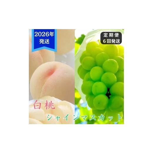 ふるさと納税 もも 岡山県 玉野市 2026年先行受付 白桃 シャインマスカット 晴王 6回 定期便 桃 ぶどう 岡山県産 御中元 ギフト 御礼 プレゼント 御礼 御祝 …