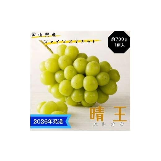 ふるさと納税 ぶどう マスカット 岡山県 玉野市 2026年先行受付 シャインマスカット 晴王 特選 大房 約700g 1房 化粧箱入 岡山県産 ぶどう 葡萄 ブドウ ギフ…
