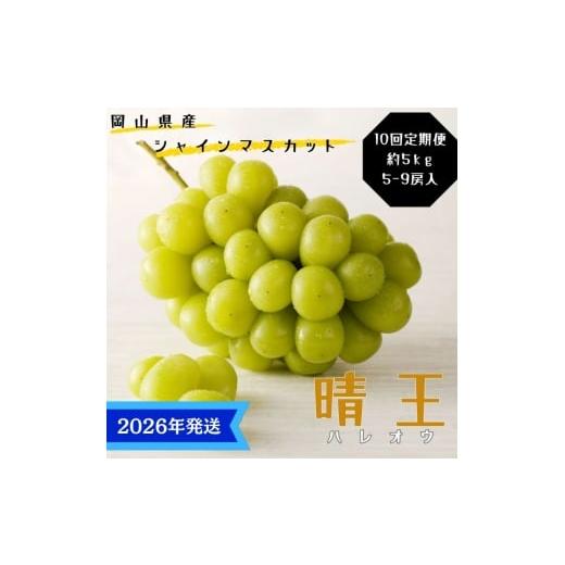 ふるさと納税 ぶどう マスカット 岡山県 玉野市 2026年先行受付 シャインマスカット 晴王 10回 定期便 秀品 大房 岡山県産 ぶどう ギフト 御礼 プレゼント 御…