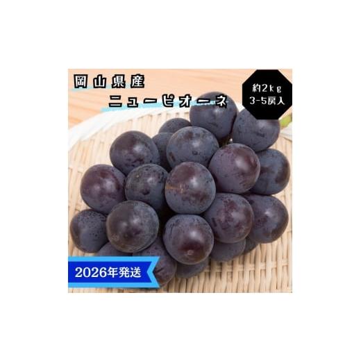 ふるさと納税 果物類 ぶどう 岡山県 玉野市 2026年先行受付 ぶどう ニューピオーネ 秀品 約2kg(3〜5房) 岡山県産 ぶどう 葡萄 ブドウ ギフト 御礼 プレゼント…
