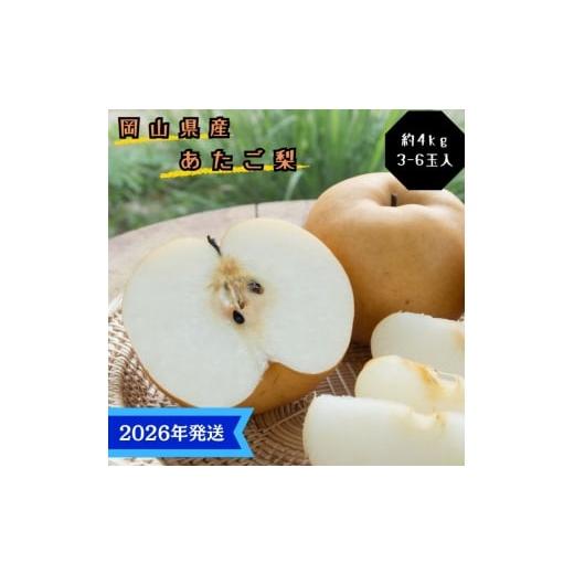 ふるさと納税 梨 岡山県 玉野市 2026年先行受付 梨 あたご梨 秀品 約4kg(3〜6玉) 岡山名産 日本一大きな梨 なし ナシ お歳暮 ギフト 御礼 プレゼント 御礼 御…