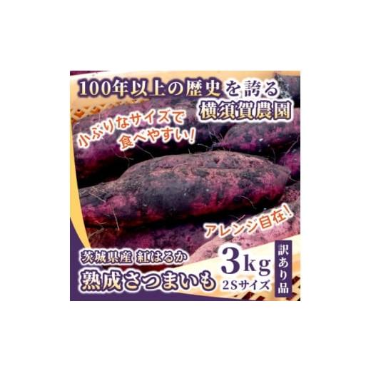 ふるさと納税 野菜類 サツマイモ 茨城県 ひたちなか市 訳あり 茨城県産 熟成さつまいも(生芋) 紅はるか 2Sサイズ 土付き3kg 家庭用 アレンジ 1685324