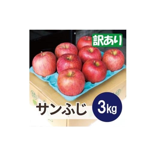 ふるさと納税 りんご 青森県 黒石市 2025年12月発送予定 糖度13度以上保証 サンふじ約3kg(6〜18玉) 訳あり 1682756