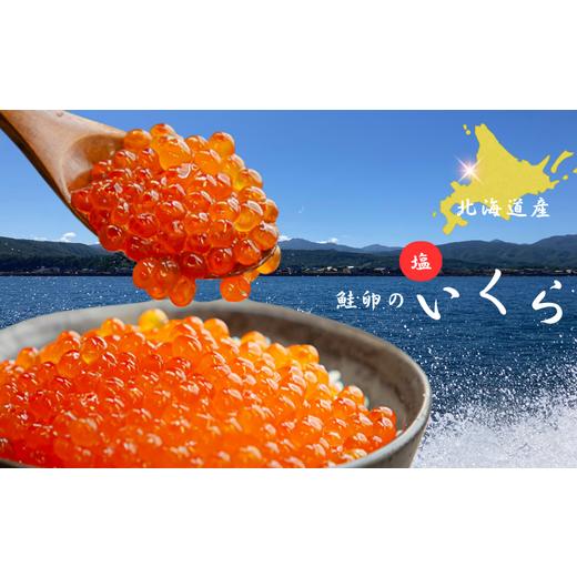 ふるさと納税 いくら 北海道 増毛町 7-012-054 北海道産 塩いくら 100g入