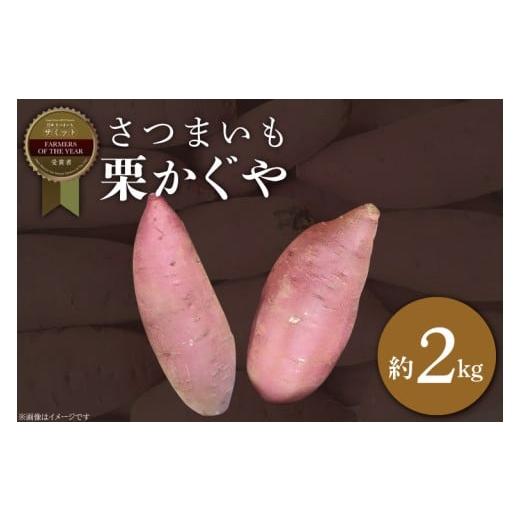 ふるさと納税 野菜類 サツマイモ 茨城県 行方市 2025年度産 さつまいも 栗かぐや 約2kg|さつまいも 芋 お芋 栗かぐや 渋谷農園 茨城県 行方市(BZ-63)