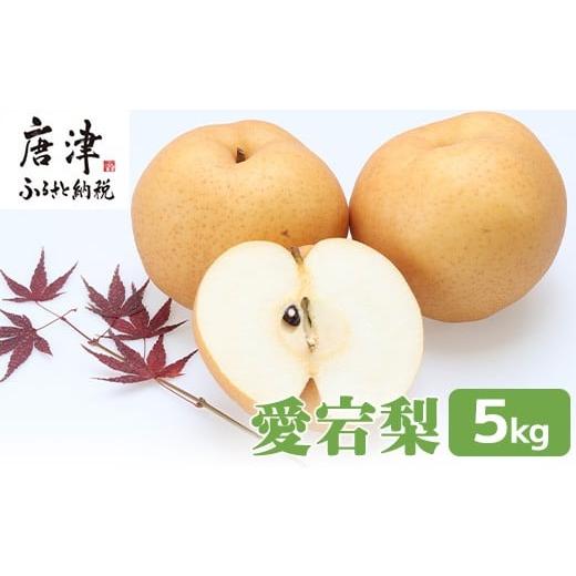 ふるさと納税 梨 佐賀県 唐津市 訳あり 今が食べ頃 特栽 旬の梨5kg 愛宕梨 果物 フルーツ くだもの