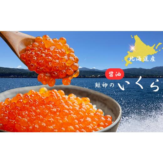 ふるさと納税 いくら 北海道 増毛町 7-010-036 北海道産 いくら醤油漬け 100g入