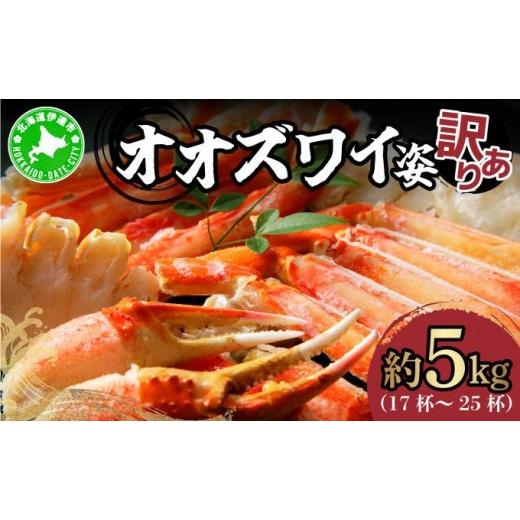 ふるさと納税 カニ ずわいガニ 北海道 伊達市 オオズワイ姿(訳あり品)5kg|かに カニ ズワイガニ オオズワイ ysk-003