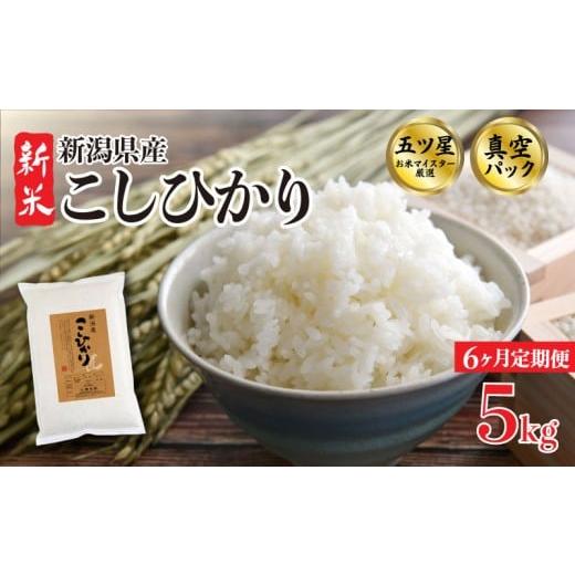 ふるさと納税 米 コシヒカリ 新潟県 新発田市 5kg定期便 6か月 コシヒカリ 真空パック 5kg 令和7年産 米 新米 五つ星お米マイスター 新米 新潟県産 新発田産 …
