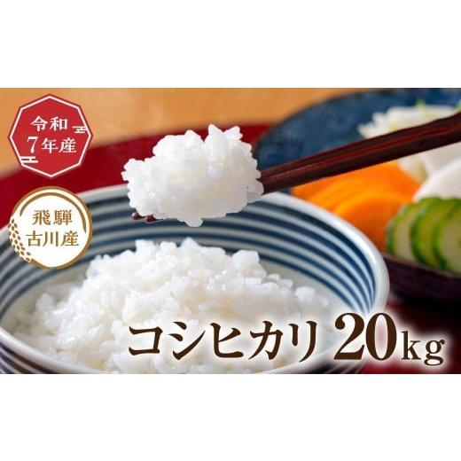 ふるさと納税 米 コシヒカリ 岐阜県 飛騨市 令和7年産 飛騨の蔵出し コシヒカリ 20kg 20キロ お米 精白米 こしひかり 米 お米 精米 白米 令和7年産 20kg