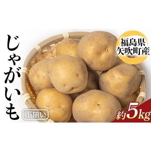 ふるさと納税 野菜類 じゃがいも 福島県 矢吹町 不揃いじゃがいも(品種トウヤ)約5kg ジャガイモ 訳あり 規格外 福島県 矢吹町産 F6U-341