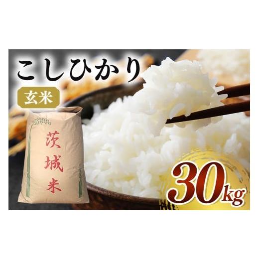 ふるさと納税 玄米 茨城県 石岡市 令和7年産 コシヒカリ 玄米30kg お