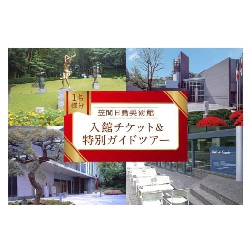 ふるさと納税 入場券・優待券 茨城県 笠間市 美術館入館チケットと特別ガイドツアー 1名様分 予約 入館 チケット 特別 ガイド ツアー 旅行 美術館 展示 彫刻 …