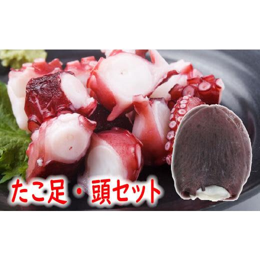 ふるさと納税 タコ 北海道 根室市 A-19013 12/21まで年内配送 北海道根室産 ボイルたこ足(ぶつ切り)・頭セット