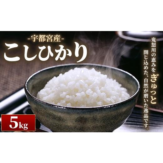 ふるさと納税 米 コシヒカリ 栃木県 宇都宮市 宇都宮産こしひかり 5kg | 米 精米 お米 こめ 新米 単一米 コシヒカリ 国産 栃木県 鬼怒川